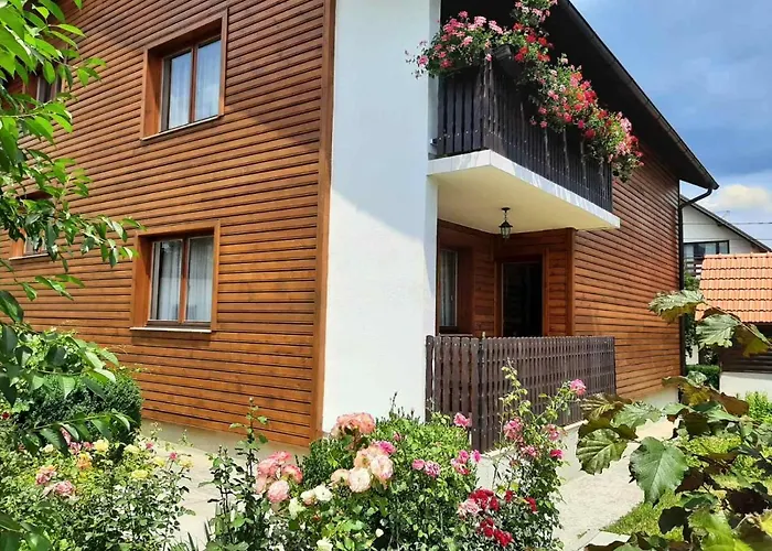 Aleksandar Apartmani